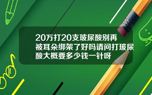 20万打20支玻尿酸别再被耳朵绑架了好吗请问打玻尿酸大概要多少钱一针呀