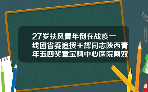 27岁扶风青年倒在战疫一线团省委追授王辉同志陕西青年五四奖章宝鸡中心医院割双眼皮王辉医生