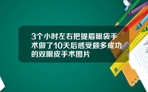 3个小时左右把提眉眼袋手术做了10天后感受颇多成功的双眼皮手术图片