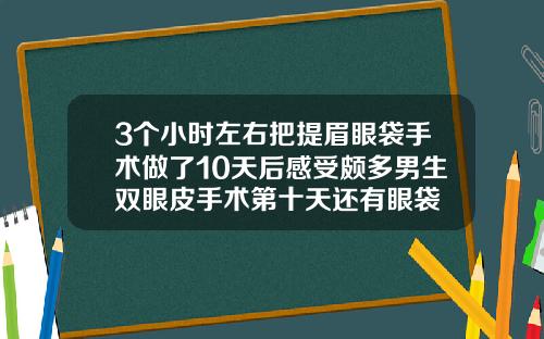 3个小时左右把提眉眼袋手术做了10天后感受颇多男生双眼皮手术第十天还有眼袋