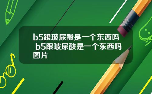 b5跟玻尿酸是一个东西吗 b5跟玻尿酸是一个东西吗图片